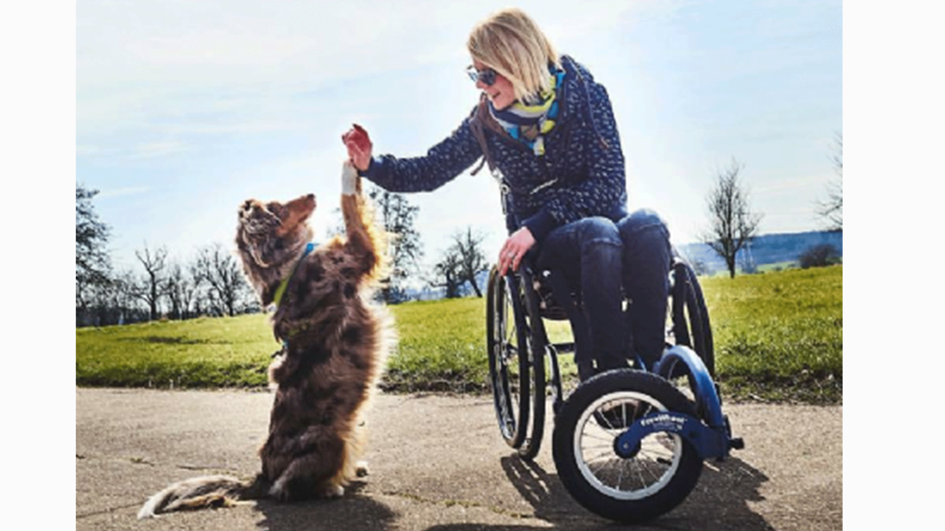 freewheel-wheelchair-attachment-lady-and-dog-high-five